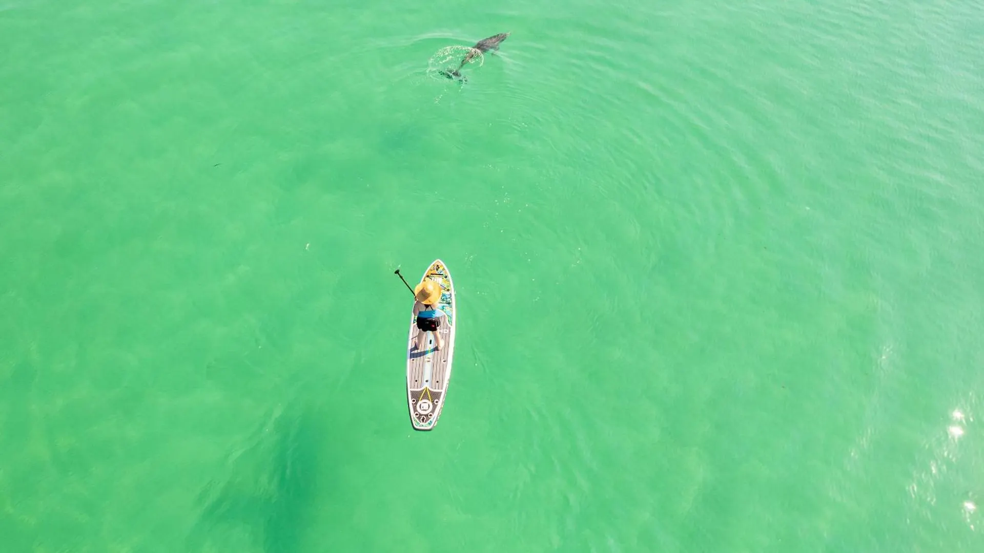 Apartment Oceania 902- By Holiday Isle Properties Destin United States